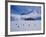 Antarctic Peninsula, Port Lockroy, Gentoo Penguins and Cruise Ship Clipper Adventurer, Antarctica-Allan White-Framed Photographic Print