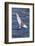 Antarctic Tern (Sterna Vittata Georgiae) in Flight in Ocean Harbor, South Georgia, Polar Regions-Michael Nolan-Framed Photographic Print