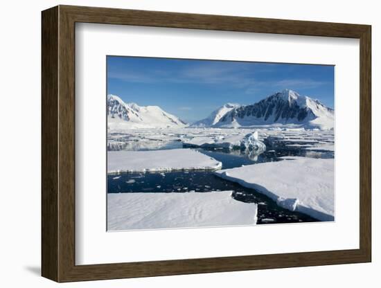 Antarctica. Antarctic Circle. Adelaide Island. the Gullet. Ice Floes-Inger Hogstrom-Framed Photographic Print