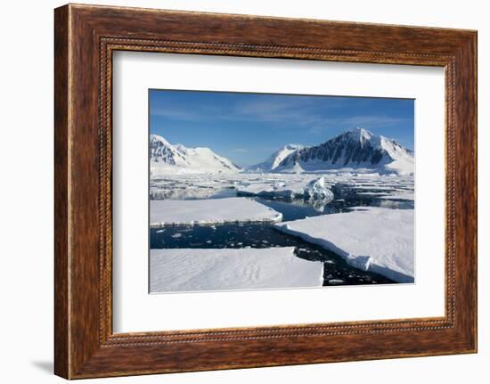 Antarctica. Antarctic Circle. Adelaide Island. the Gullet. Ice Floes-Inger Hogstrom-Framed Photographic Print