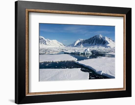 Antarctica. Antarctic Circle. Adelaide Island. the Gullet. Ice Floes-Inger Hogstrom-Framed Photographic Print