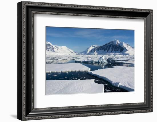 Antarctica. Antarctic Circle. Adelaide Island. the Gullet. Ice Floes-Inger Hogstrom-Framed Photographic Print