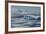 Antarctica. Antarctic Circle. the Gullet. Iceberg and Ice Floes-Inger Hogstrom-Framed Photographic Print