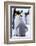 Antarctica, Antarctic Peninsula, Weddell Sea, Atka Bay. Emperor Penguin with chick-Pete Oxford-Framed Photographic Print