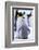 Antarctica, Antarctic Peninsula, Weddell Sea, Atka Bay. Emperor Penguin with chick-Pete Oxford-Framed Photographic Print