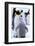 Antarctica, Antarctic Peninsula, Weddell Sea, Atka Bay. Emperor Penguin with chick-Pete Oxford-Framed Photographic Print