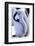 Antarctica, Antarctic Peninsula, Weddell Sea, Atka Bay. Emperor Penguin-Pete Oxford-Framed Photographic Print