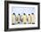 Antarctica, Antarctic Peninsula, Weddell Sea, Atka Bay. Emperor Penguins-Pete Oxford-Framed Photographic Print