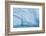 Antarctica, Antarctic Peninsula, Wilhelmina Bay with iceberg, glacial ice and snow petrel.-Yuri Choufour-Framed Photographic Print