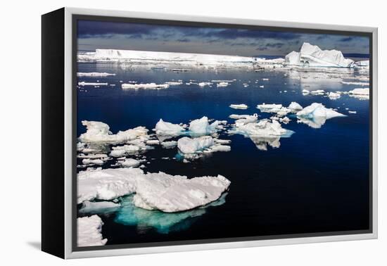 Antarctica, Antarctic Sound, calm waters, ice-George Theodore-Framed Premier Image Canvas