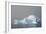 Antarctica. Charlotte Bay. Iceberg-Inger Hogstrom-Framed Photographic Print