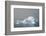 Antarctica. Charlotte Bay. Iceberg-Inger Hogstrom-Framed Photographic Print