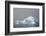 Antarctica. Charlotte Bay. Iceberg-Inger Hogstrom-Framed Photographic Print