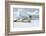 Antarctica. Charlotte Bay. Leopard Seal Sleeping on an Ice Floe-Inger Hogstrom-Framed Photographic Print