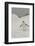 Antarctica, Chinstrap, Penguin-George Theodore-Framed Photographic Print