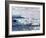 Antarctica. Emperor and Adelie Penguins on the Edge of an Ice Shelf-Janet Muir-Framed Photographic Print