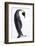 Antarctica, Emperor Penguin Walking Alone, High Key-Janet Muir-Framed Photographic Print