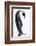 Antarctica, Emperor Penguin Walking Alone, High Key-Janet Muir-Framed Photographic Print