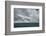 Antarctica, full rainbow, Gerlach Strait-George Theodore-Framed Photographic Print