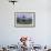 Antarctica Fur Seal Pup (Arctocephalus Gazella), South Georgia, Polar Regions-Michael Nolan-Framed Photographic Print displayed on a wall