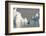 Antarctica. Gerlache Strait. Crabeater Seal and an Iceberg-Inger Hogstrom-Framed Photographic Print