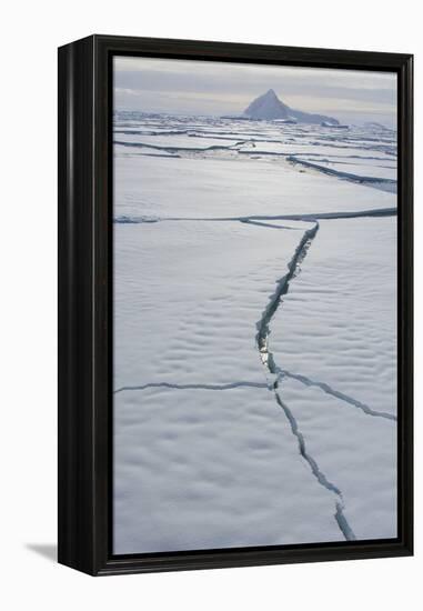 Antarctica. Near Adelaide Island. the Gullet. Cracks Open in the Ice-Inger Hogstrom-Framed Premier Image Canvas