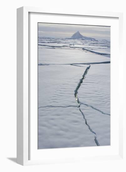 Antarctica. Near Adelaide Island. the Gullet. Cracks Open in the Ice-Inger Hogstrom-Framed Photographic Print