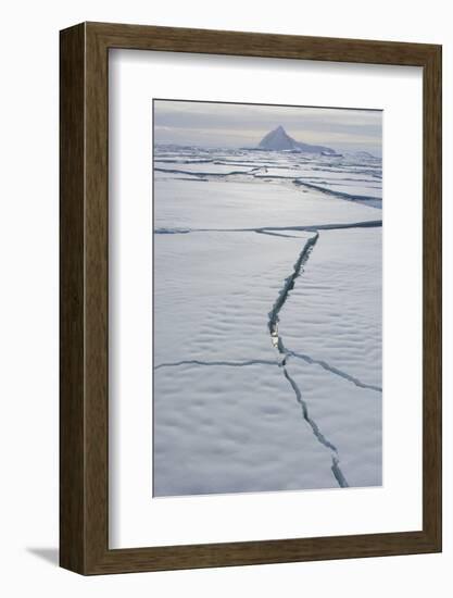 Antarctica. Near Adelaide Island. the Gullet. Cracks Open in the Ice-Inger Hogstrom-Framed Photographic Print