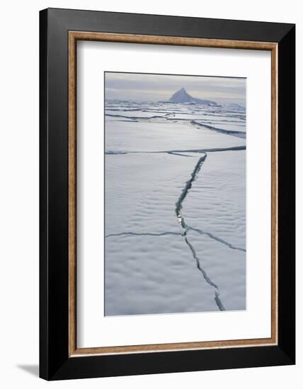 Antarctica. Near Adelaide Island. the Gullet. Cracks Open in the Ice-Inger Hogstrom-Framed Photographic Print