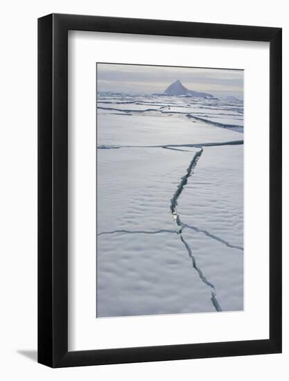 Antarctica. Near Adelaide Island. the Gullet. Cracks Open in the Ice-Inger Hogstrom-Framed Photographic Print
