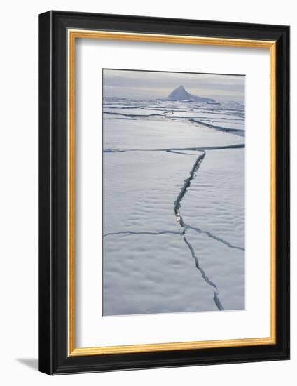 Antarctica. Near Adelaide Island. the Gullet. Cracks Open in the Ice-Inger Hogstrom-Framed Photographic Print