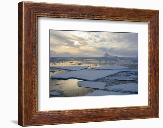 Antarctica. Near Adelaide Island. the Gullet. Ice Floes and Brash Ice-Inger Hogstrom-Framed Photographic Print