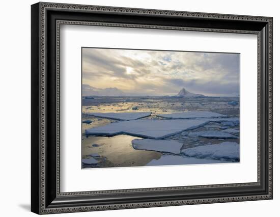 Antarctica. Near Adelaide Island. the Gullet. Ice Floes and Brash Ice-Inger Hogstrom-Framed Photographic Print