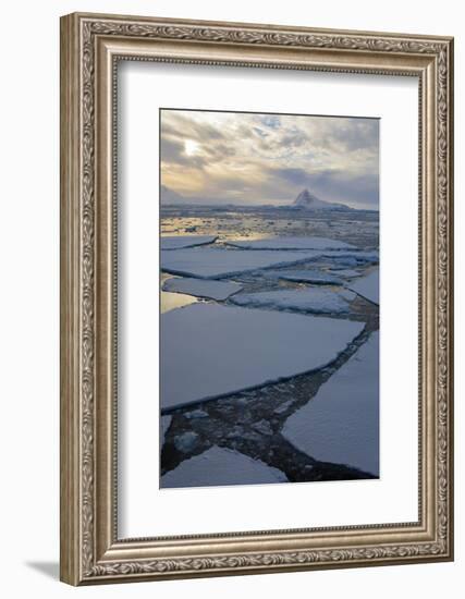 Antarctica. Near Adelaide Island. the Gullet. Ice Floes and Brash Ice-Inger Hogstrom-Framed Photographic Print