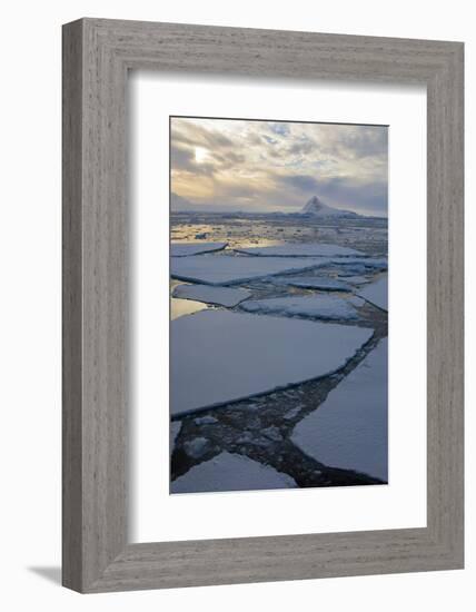 Antarctica. Near Adelaide Island. the Gullet. Ice Floes and Brash Ice-Inger Hogstrom-Framed Photographic Print