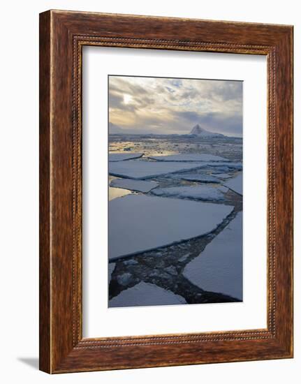 Antarctica. Near Adelaide Island. the Gullet. Ice Floes and Brash Ice-Inger Hogstrom-Framed Photographic Print