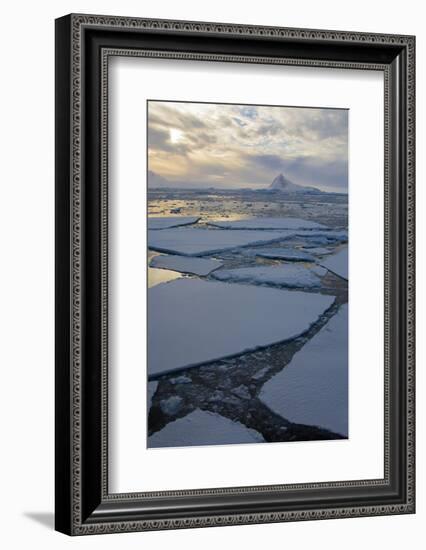 Antarctica. Near Adelaide Island. the Gullet. Ice Floes and Brash Ice-Inger Hogstrom-Framed Photographic Print