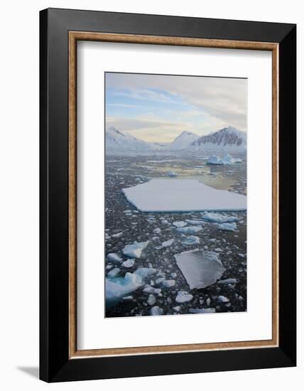 Antarctica. Near Adelaide Island. the Gullet. Ice Floes and Brash Ice-Inger Hogstrom-Framed Photographic Print