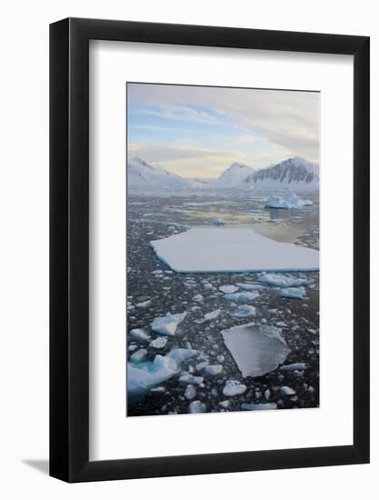 Antarctica. Near Adelaide Island. the Gullet. Ice Floes and Brash Ice-Inger Hogstrom-Framed Photographic Print