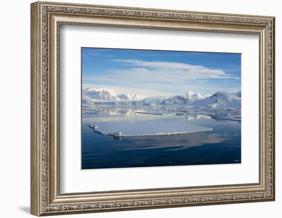 Antarctica. Near Adelaide Island. the Gullet. Ice Floes at Sunset-Inger Hogstrom-Framed Photographic Print