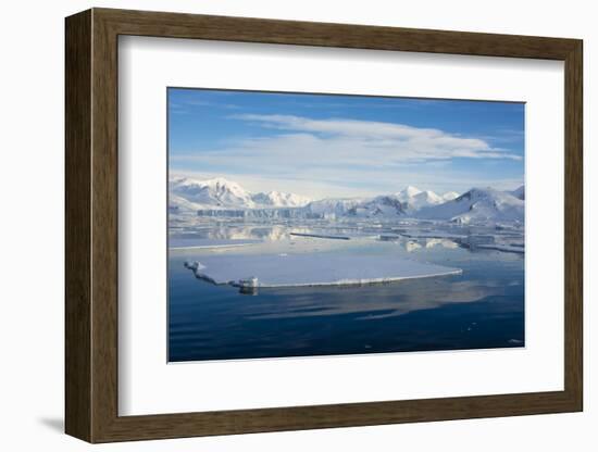 Antarctica. Near Adelaide Island. the Gullet. Ice Floes at Sunset-Inger Hogstrom-Framed Photographic Print