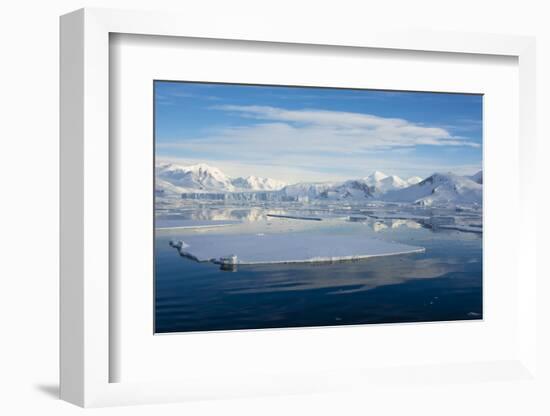 Antarctica. Near Adelaide Island. the Gullet. Ice Floes at Sunset-Inger Hogstrom-Framed Photographic Print