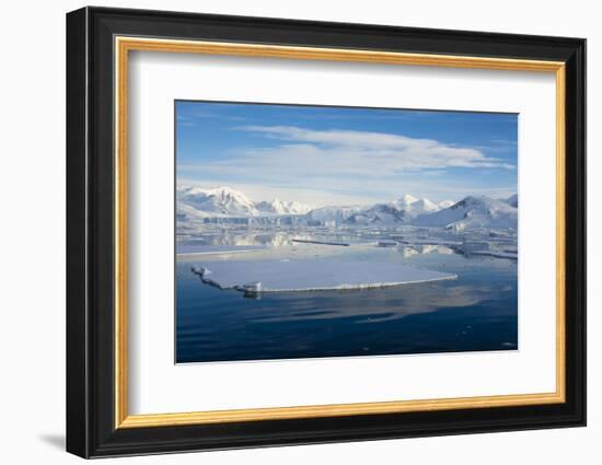 Antarctica. Near Adelaide Island. the Gullet. Ice Floes at Sunset-Inger Hogstrom-Framed Photographic Print