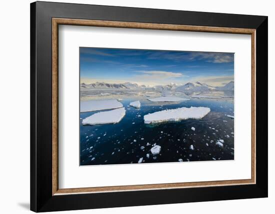 Antarctica. Near Adelaide Island. the Gullet. Ice Floes at Sunset-Inger Hogstrom-Framed Photographic Print