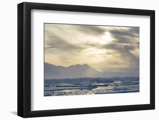 Antarctica. Near Adelaide Island. the Gullet. Ice Floes at Sunset-Inger Hogstrom-Framed Photographic Print