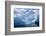 Antarctica, Paradise Bay, iceberg-Hollice Looney-Framed Photographic Print