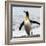 Antarctica, penguin, King-George Theodore-Framed Photographic Print