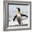 Antarctica, penguin, King-George Theodore-Framed Photographic Print