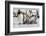 Antarctica, Snow Hill. A group of emperor penguin chicks huddle near and adult-Ellen Goff-Framed Photographic Print