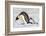 Antarctica, Snow Hill. A young chick trudges behind an adult emperor penguin.-Ellen Goff-Framed Photographic Print